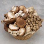 Variety Of Uncooked Wild Forest Mushrooms In A Basket Isolated O