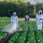 Pesticides on Produce