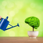 6 Surprising Influences on Healthy Brain Function Nurture Your Brain